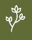 White leaf sprig icon on green background