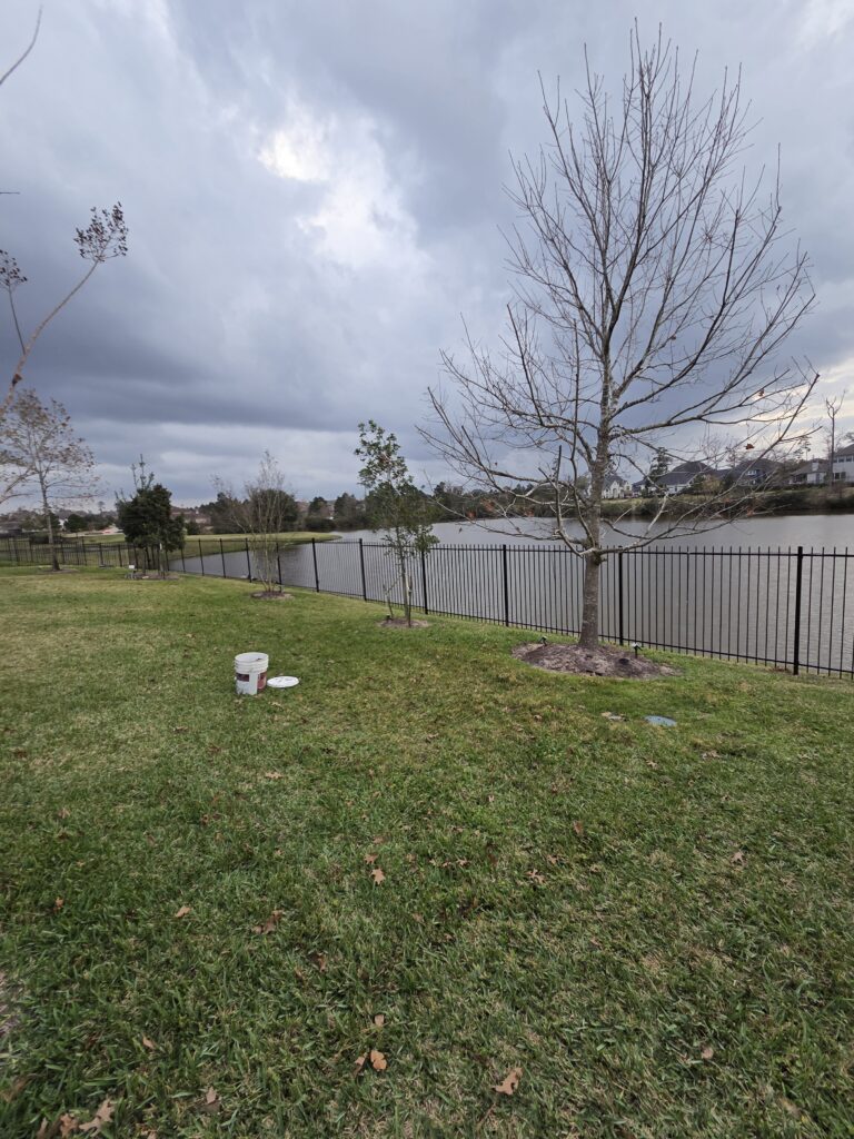 Black metal perimeter fence along a lakefront backyard.